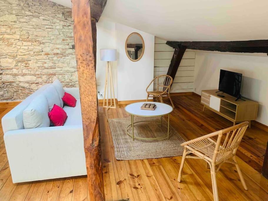 Spacieux Appartement En Plein Coeur De Castres Castres  Dış mekan fotoğraf