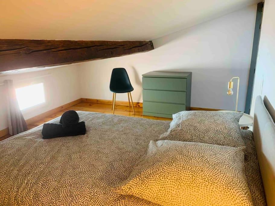 Spacieux Appartement En Plein Coeur De Castres Castres  Dış mekan fotoğraf